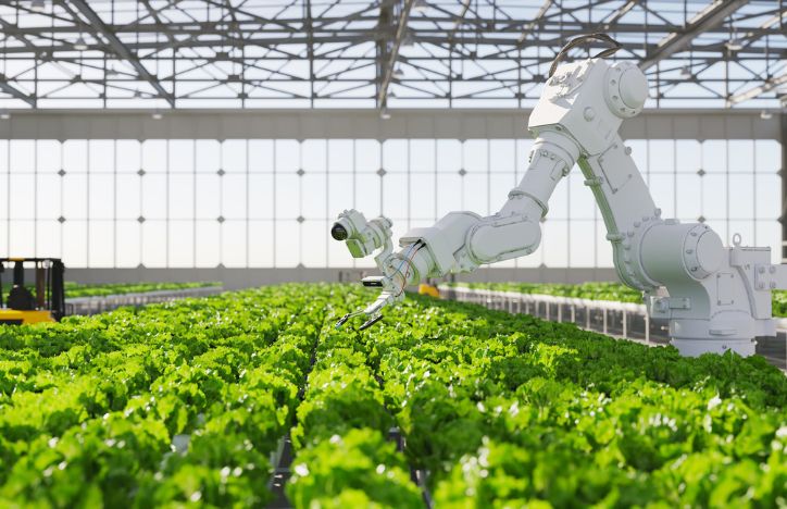 Robot Farming AI