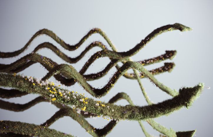 Arrows Made Of Grass And Flowers