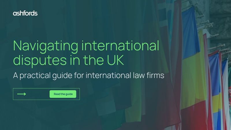 Navigating International Disputes Front Page - read our guide