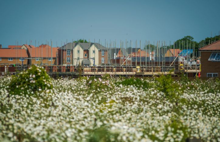 New Build Housing Development Under Construction With Plants In Foreground
