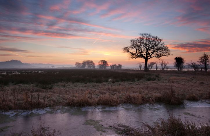 Sunrise On Somerset Levels