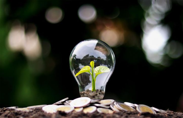 A Seedling In A Lightbulb With Coins Around It