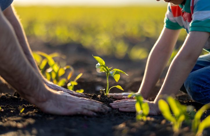 People Planting Plants