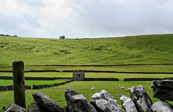 Sheep Fields With Small House And Walls
