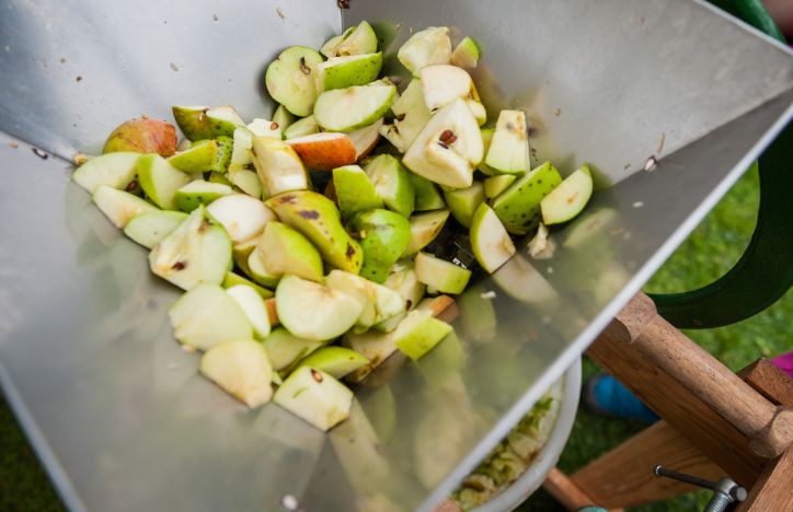 Chopped Apples In Cider Press