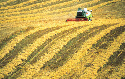 Leasing farm machinery - disputed arrangements