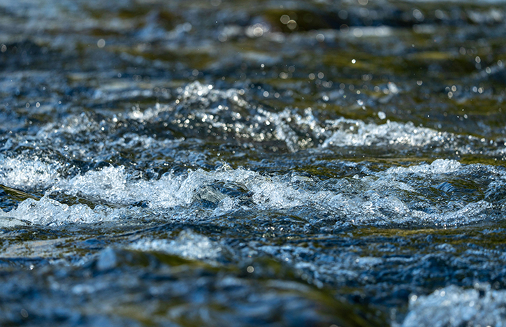 The Water (Special Measures) Act 2025 (1)
