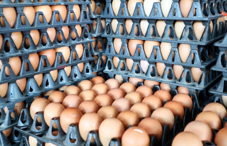 Eggs