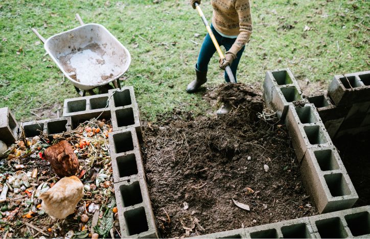 Farmer Scooping Compost Into Wheelbarrow