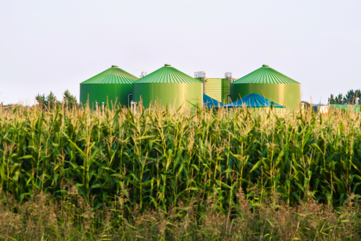 AD Biogas Plant