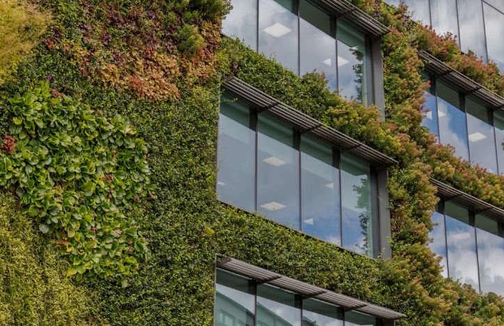 Green Architecture In Camden London