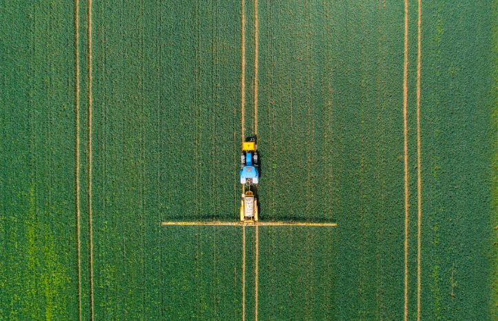 Farming Crop Field