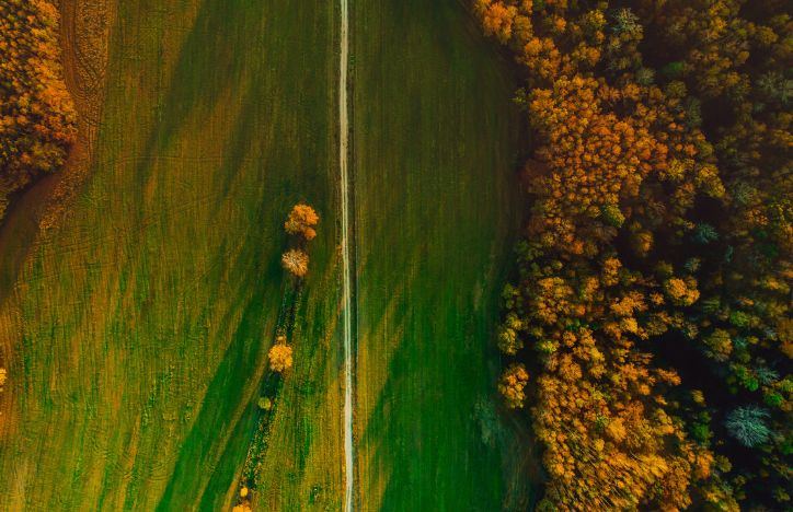 Birdseye View Of A Field And Trees In The Autumn