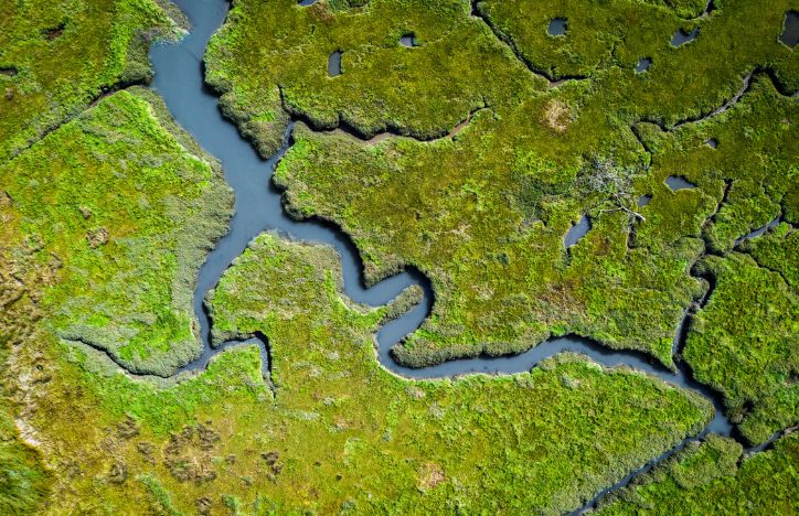 UK Wetlands Aerial View