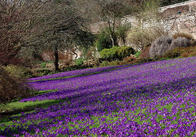 Good news gardens reopening