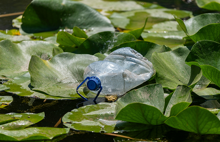 A Plastic Bottle Floating Amongst Some Lily Pads