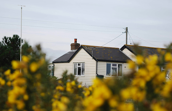 House With Yellow Flowers