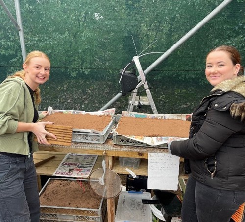 Charlotte Walker and Sadie Sargeant preparing trays to grow seagrass.