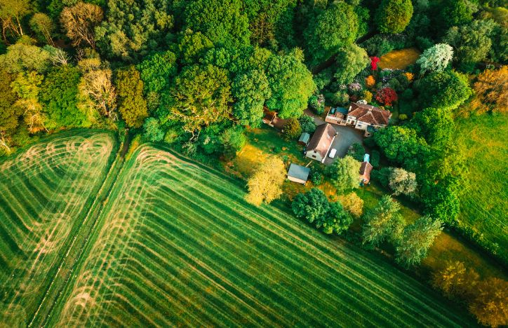 Farmland Aerial View