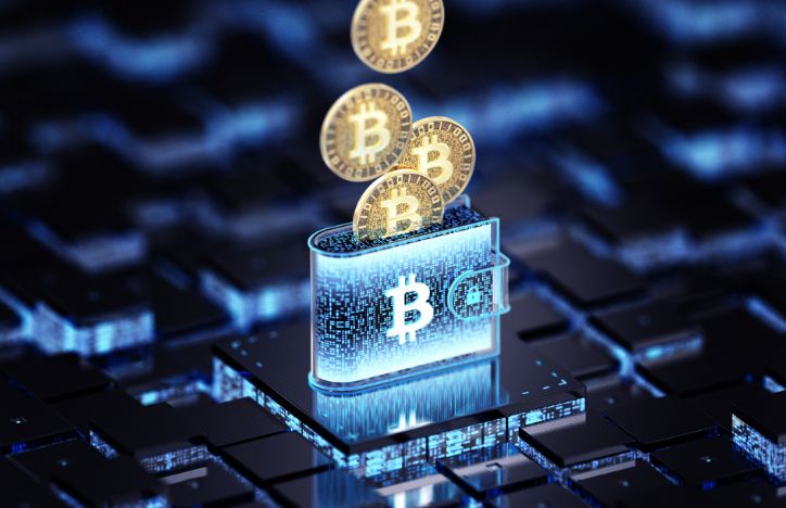 Bitcoin In Digital Wallet Cryptocurrency Concept