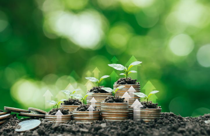 Coins Stacked On The Ground And Seedlings Grow In Green Business Investment